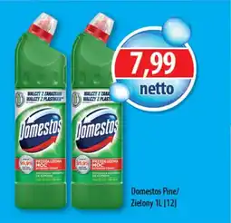 DUO-TES Domestos pine/zielony oferta