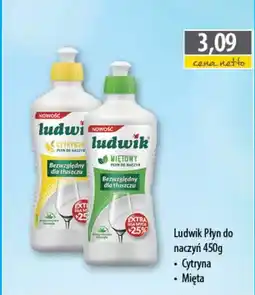 DUO-TES Ludwik płyn do naczyń oferta