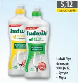 DUO-TES Ludwik płyn do naczyń oferta