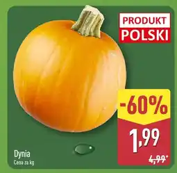ALDI Dynia Aldi oferta