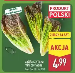 ALDI Sałata rzymska mini czerwona 2 szt. Aldi oferta