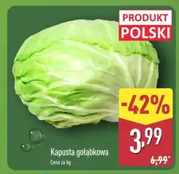 ALDI Kapusta gołąbkowa Aldi oferta