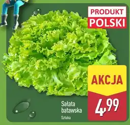 ALDI Sałata batawska 1 szt. Aldi oferta