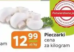 Społem Pieczarki oferta