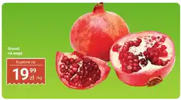 Biedronka Granat Biedronka oferta