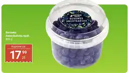 Biedronka Borówka amerykańska Biedronka oferta