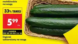 Biedronka Ogórek szklarniowy Biedronka oferta