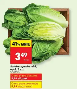 Biedronka Sałata rzymska mini Biedronka oferta