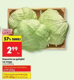 Biedronka Kapusta na gołąbki Biedronka oferta