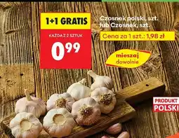 Biedronka Czosnek polski Biedronka oferta