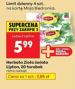 Biedronka Herbata Zioła świata Lipton oferta