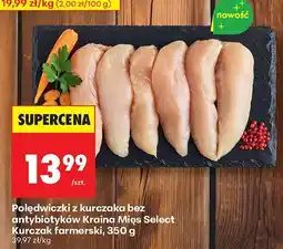 Biedronka Polędwiczki z kurczaka Kraina Mięs Select Kurczak farmerski oferta