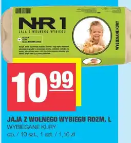 Spar Jajka z wolnego wybiegu rozm. L NR 1 oferta