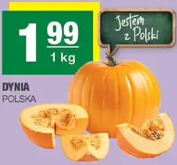 Spar Dynia Polska oferta