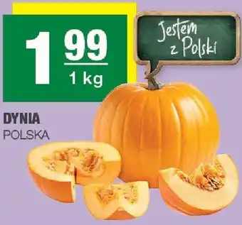 Spar Dynia Polska oferta