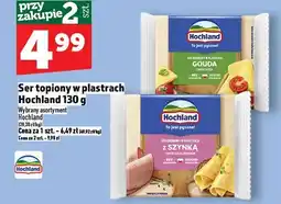 Topaz Ser topiony w plastrach Hochland Gouda/z szynką oferta