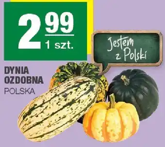 Dynia ozdobna Polska