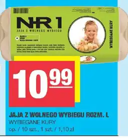 Spar Jaja z wolnego wybiegu rozm. L NR 1 oferta