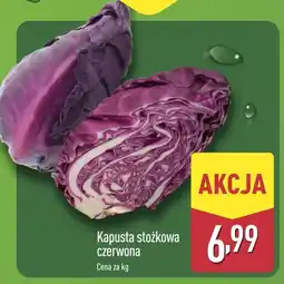 ALDI Kapusta stożkowa czerwona Aldi oferta