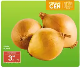 Dino Cebula na wagę Dino oferta