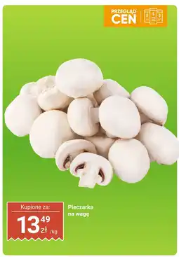 Dino Pieczarka na wagę Dino oferta