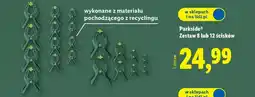 Lidl Parkside Zestaw 8 lub 12 ścisków oferta