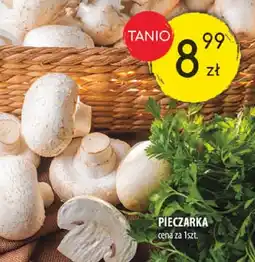 Arhelan Pieczarka Arhelan oferta