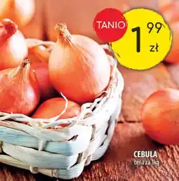 Arhelan Cebula Arhelan oferta
