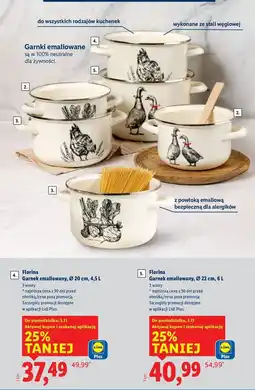 Lidl Garnek emaliowany 22 cm Florina (Florentyna) oferta
