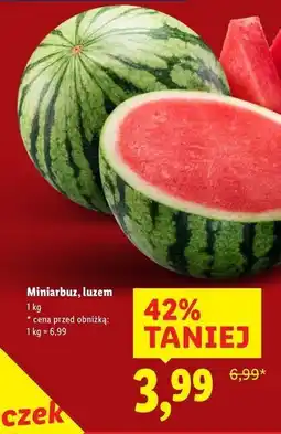 Lidl Arbuz mini oferta