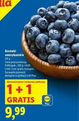 Lidl Borówka amerykańska oferta