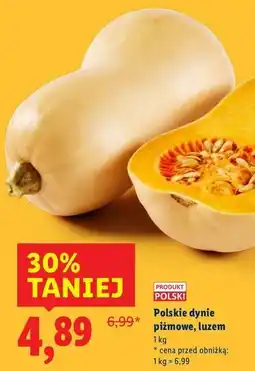 Lidl Dynia piżmowa oferta