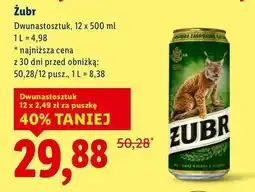 Lidl Piwo Żubr 1768 oferta