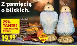 Lidl Znicz claris 70h oferta