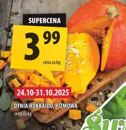 Arhelan Dynia oferta
