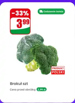 Dino Brokuł Dino oferta
