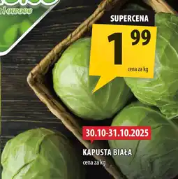 Arhelan Kapusta biała oferta