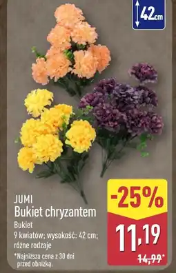 ALDI Bukiet kwiatów Jumi oferta