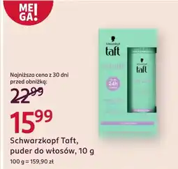 Rossmann Puder do włosów Taft oferta