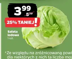 Netto Sałata lodowa oferta