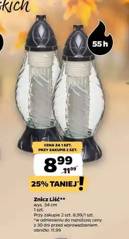 Netto Znicz oferta
