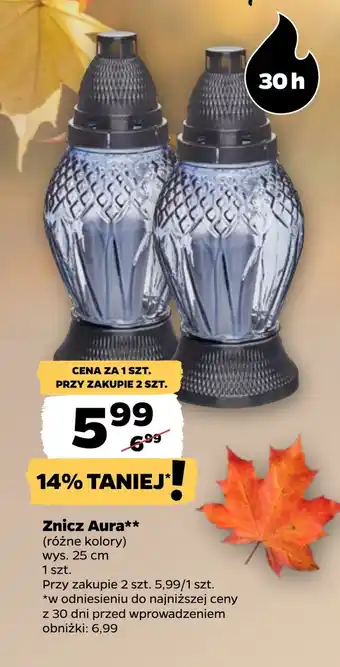 Netto Znicz Aura oferta