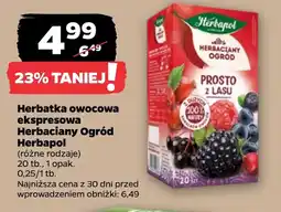 Netto Herbata owocowa Herbapol oferta