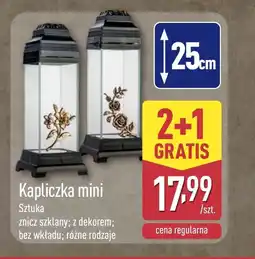 ALDI Znicz oferta
