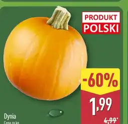 ALDI Dynia Polski oferta
