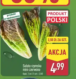 ALDI Sałata rzymska Polski oferta