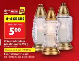 Biedronka Znicz Biedronka oferta