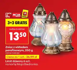 Biedronka Znicz Biedronka oferta