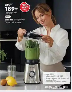 Biedronka Blender kielichowy Zeegma oferta