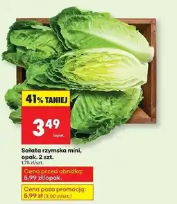 Biedronka Sałata rzymska mini oferta